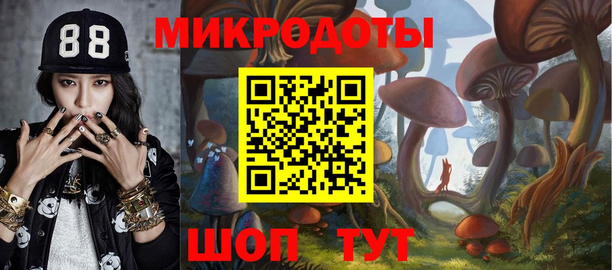 Галлюциногенные грибы мицелий  Галлюциногенные грибы Psilocybine cubensis  Вход с VPN  Шадринск 