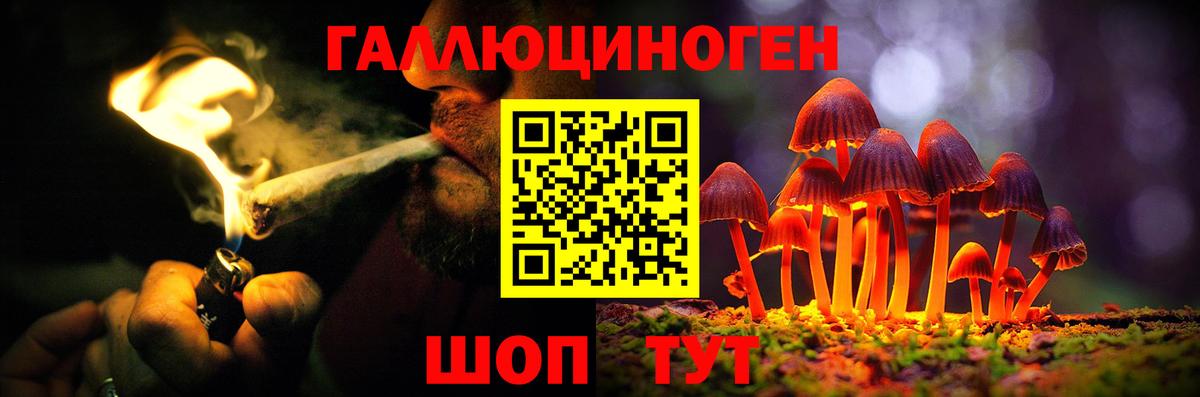 Галлюциногенные грибы прущие грибы Шадринск